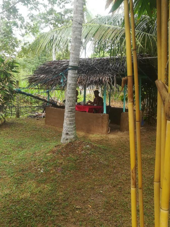 Bamboo Home Stay Hiriketiya Dikwella Exteriör bild