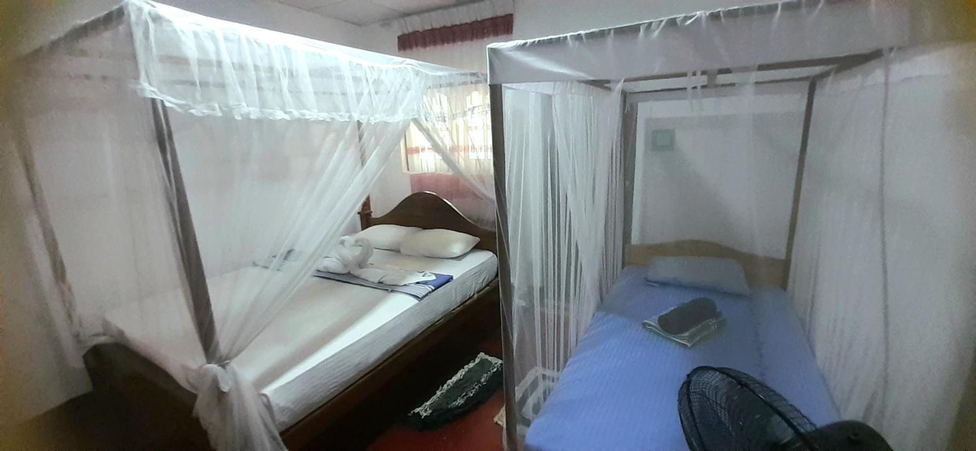Bamboo Home Stay Hiriketiya Dikwella Exteriör bild